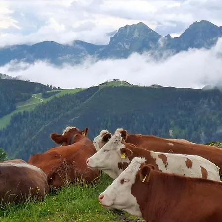 Haus Lisa Ramsau am Dachstein